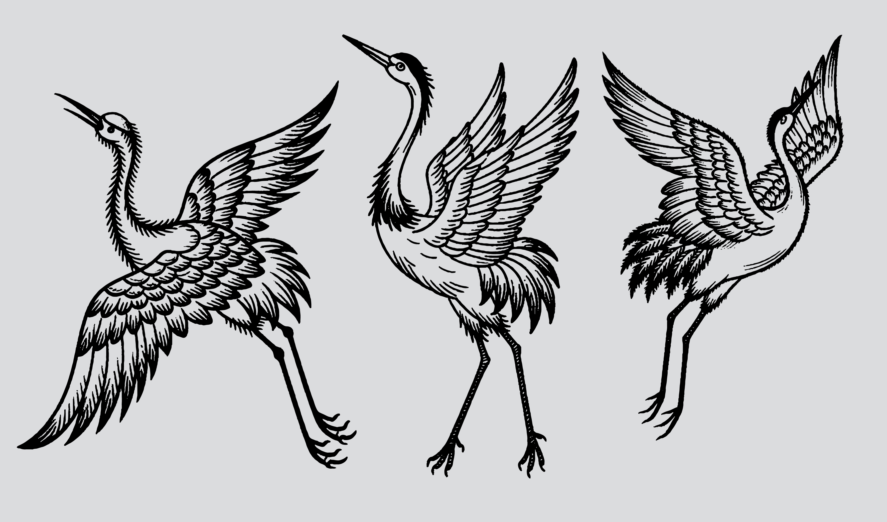 传统-酒类插画元素-仙鹤矢量插画